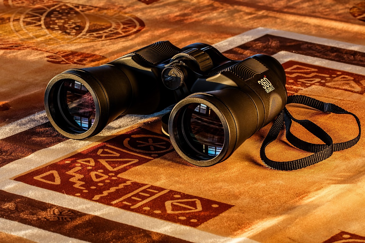 binoculars, lenses, vision, field glasses, optical instrument, optical device, binoculars, binoculars, binoculars, vision, vision, vision, vision, vision